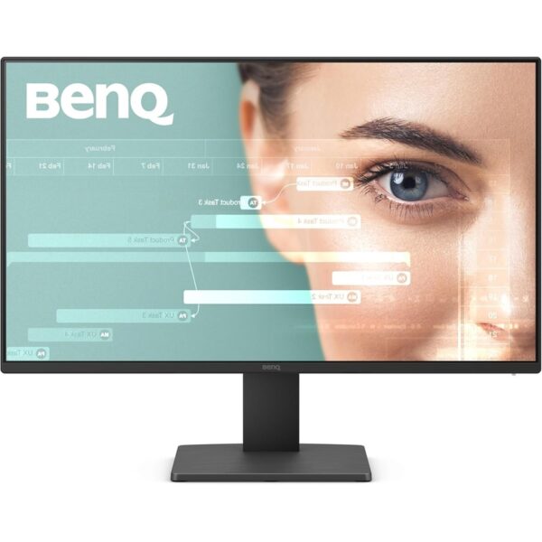 BENQ GW2491 23.8 inča Full HD LED monitor, VA panel, 100Hz, Low Blue Light, idealan za kancelariju i kućnu upotrebu